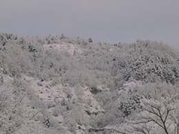 foto nevicata del 21 Febbraio 2005 5